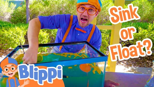 sink or float