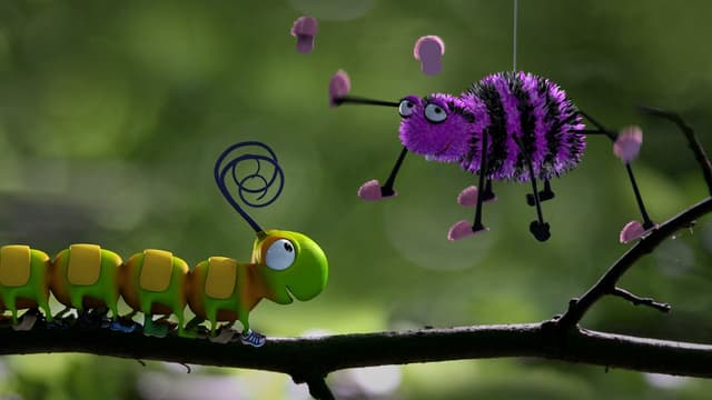 The Caterpillar shoes